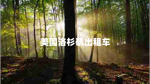 美國洛杉磯出租車(chē)