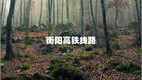 衡陽(yáng)高鐵線(xiàn)路