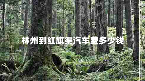 林州到紅旗渠汽車(chē)費(fèi)多少錢(qián)
