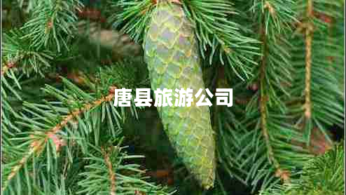 唐縣旅游公司