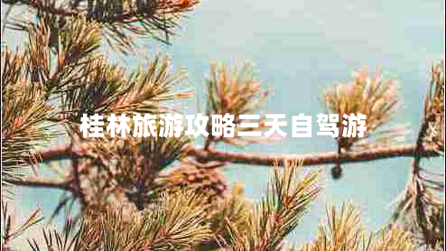 桂林旅游攻略三天自駕游