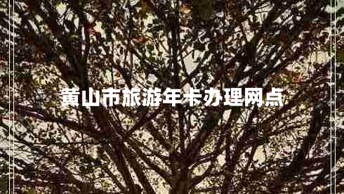 黃山市旅游年卡辦理網(wǎng)點(diǎn)