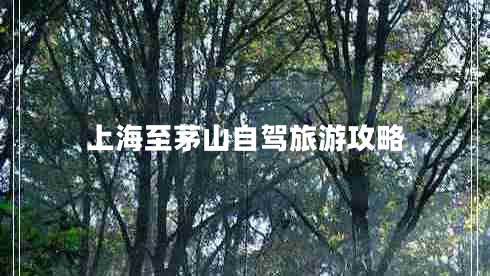 上海至茅山自駕旅游攻略