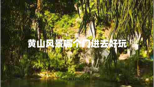黃山風(fēng)景哪個(gè)門進(jìn)去好玩