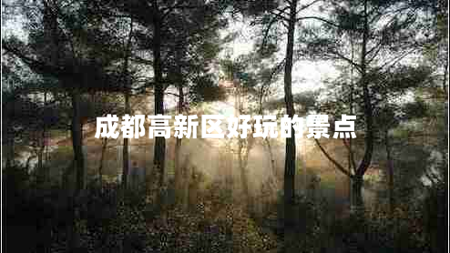 成都高新區好玩的景點(diǎn)