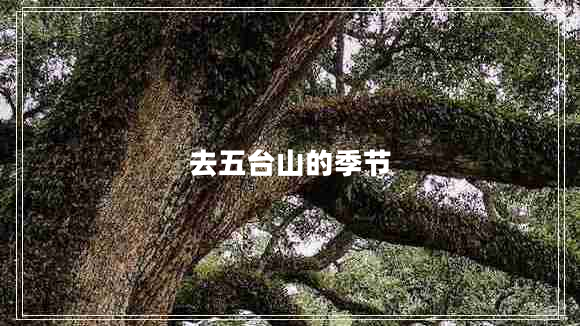 去五臺(tái)山的季節(jié)