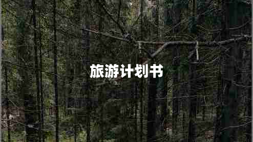 旅游計(jì)劃書
