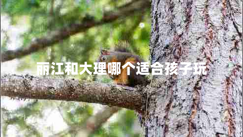 麗江和大理哪個適合孩子玩