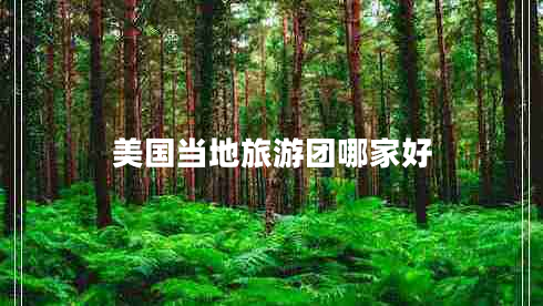美國(guó)當(dāng)?shù)芈糜螆F(tuán)哪家好