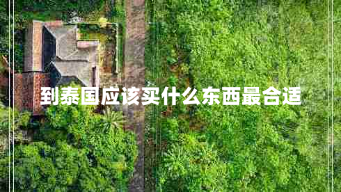 到泰國應(yīng)該買什么東西最合適