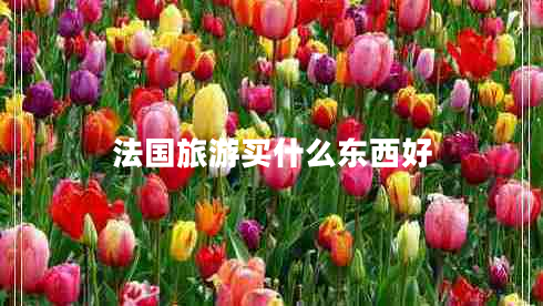 法國旅游買什么東西好