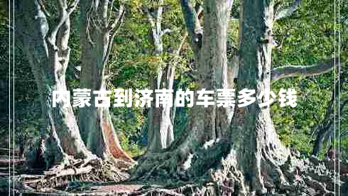 內(nèi)蒙古到濟南的車票多少錢