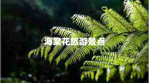 海棠花旅游景點(diǎn)