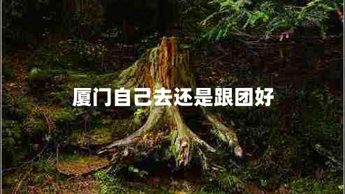 廈門(mén)自己去還是跟團(tuán)好