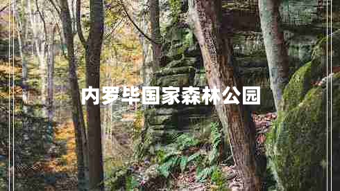 內(nèi)羅畢國家森林公園