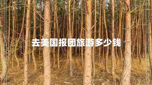 去美國(guó)報(bào)團(tuán)旅游多少錢