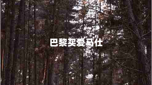 巴黎買愛馬仕