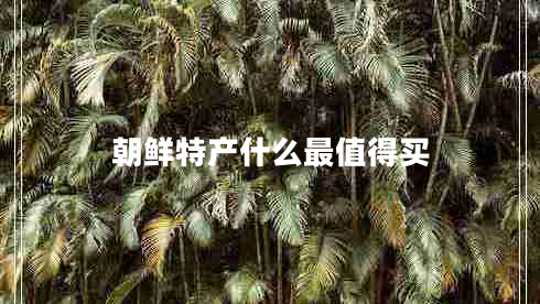 朝鮮特產(chǎn)什么最值得買(mǎi)