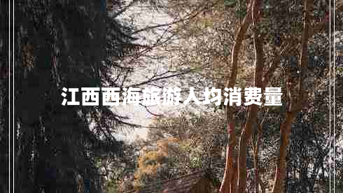 江西西海旅游人均消費(fèi)量