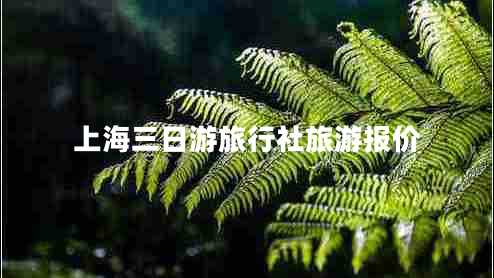 上海三日游旅行社旅游報價