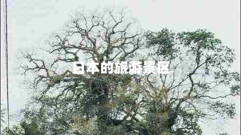 日本的旅游景區