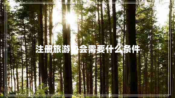 注冊旅游協(xié)會需要什么條件