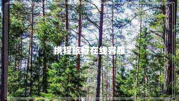 攜程旅行在線(xiàn)客服