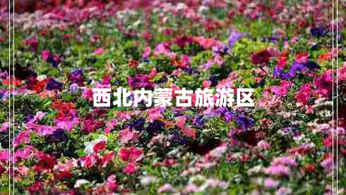 西北內(nèi)蒙古旅游區(qū)