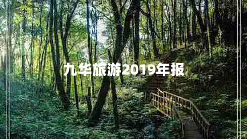 九華旅游2019年報(bào)