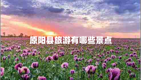 原陽縣旅游有哪些景點