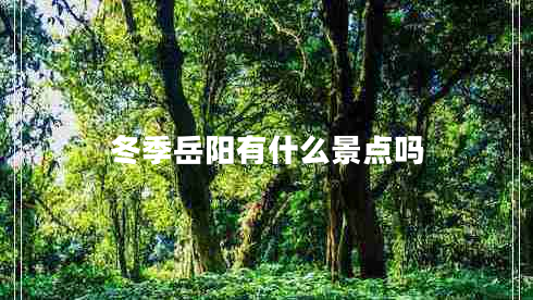 冬季岳陽(yáng)有什么景點(diǎn)嗎