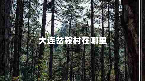大連岔鞍村在哪里