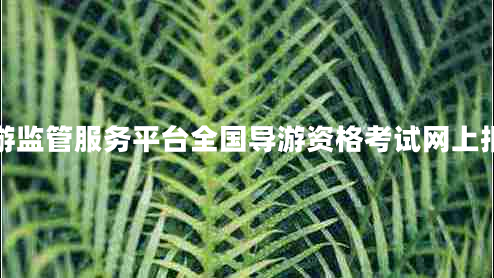 全國(guó)旅游監(jiān)管服務(wù)平臺(tái)全國(guó)導(dǎo)游資格考試網(wǎng)上報(bào)名系統(tǒng)
