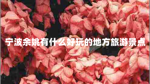 寧波余姚有什么好玩的地方旅游景點