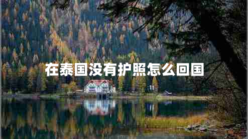 在泰國沒有護(hù)照怎么回國