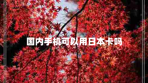 國內(nèi)手機可以用日本卡嗎