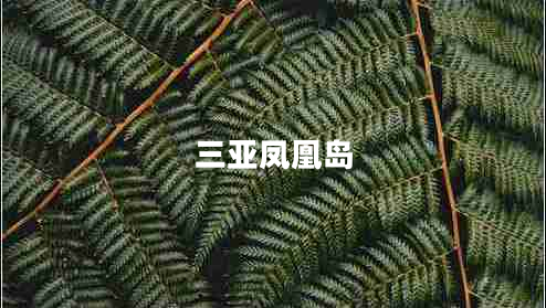 三亞鳳凰島