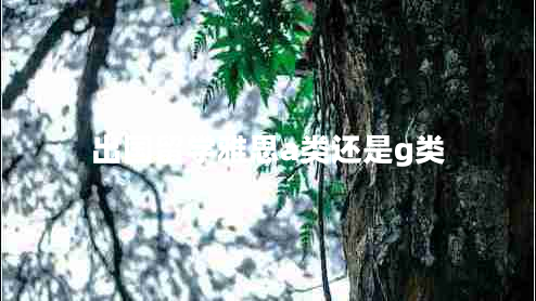 出國(guó)留學(xué)雅思a類還是g類