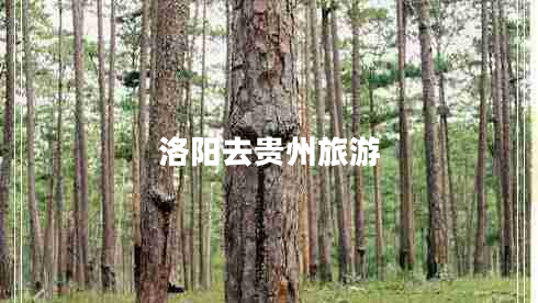 洛陽去貴州旅游