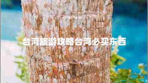 臺(tái)灣旅游攻略臺(tái)灣必買東西