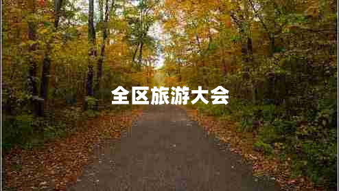 全區(qū)旅游大會(huì)