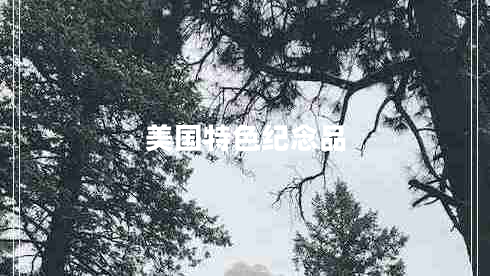 美國特色紀(jì)念品