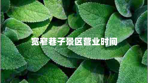 寬窄巷子景區(qū)營業(yè)時間
