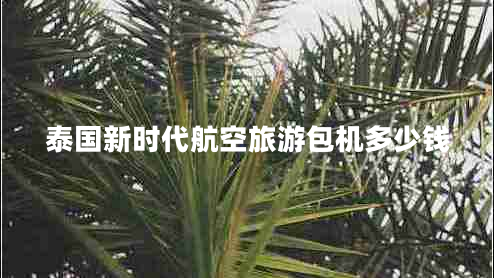 泰國新時(shí)代航空旅游包機多少錢(qián)