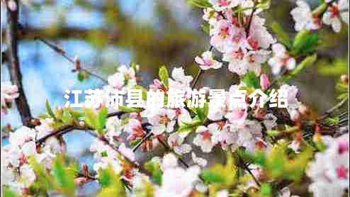江蘇沛縣的旅游景點(diǎn)介紹