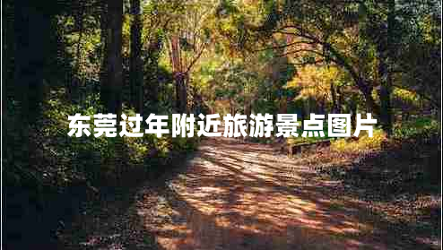東莞過年附近旅游景點圖片