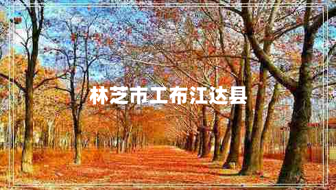 林芝市工布江達(dá)縣