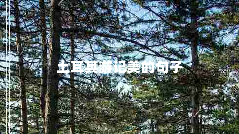 土耳其游記美的句子