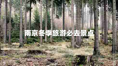 南京冬季旅游必去景點(diǎn)
