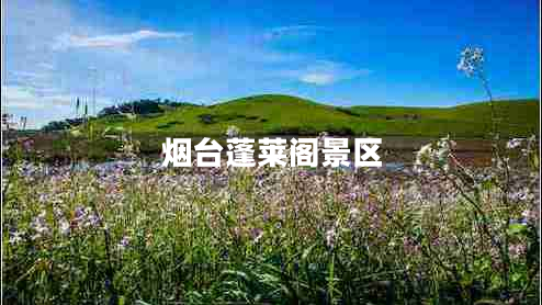 煙臺蓬萊閣景區(qū)